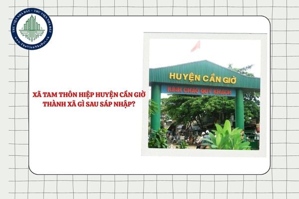 Xã Tam Thôn Hiệp huyện Cần Giờ thành xã gì sau sáp nhập TPHCM?