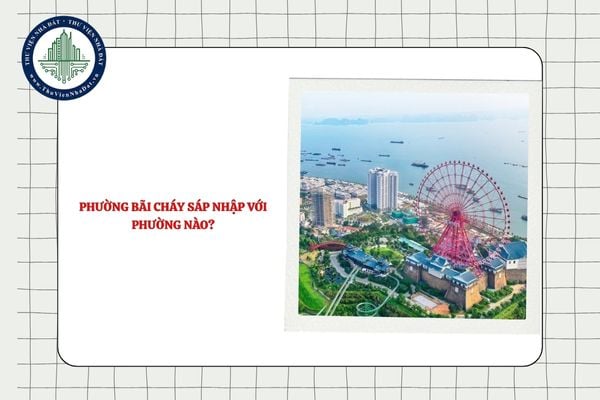Phường Bãi Cháy sáp nhập với phường nào sau sắp xếp ĐVHC tỉnh Quảng Ninh?