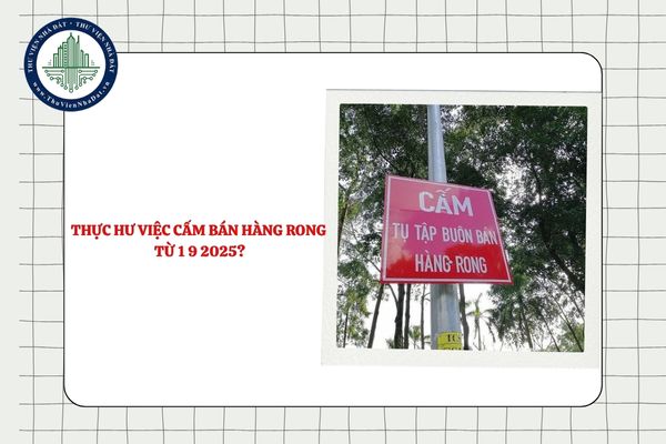 Thực hư việc cấm bán hàng rong từ 1 9 2025? Hiểu đúng quy định như thế nào?