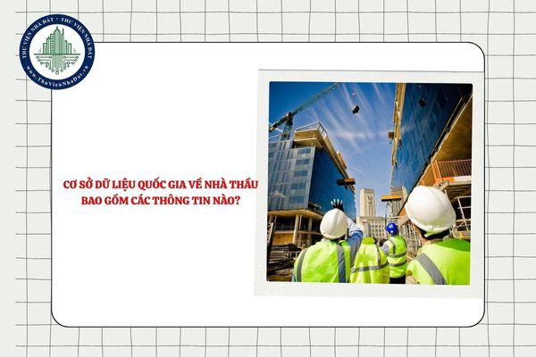 Cơ sở dữ liệu quốc gia về nhà thầu bao gồm các thông tin nào?
