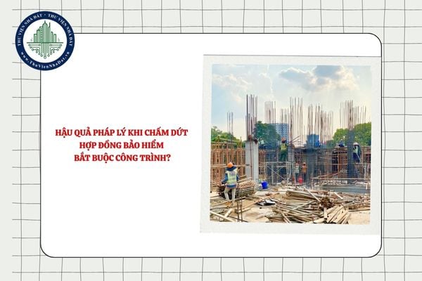 Hậu quả pháp lý khi chấm dứt hợp đồng bảo hiểm bắt buộc công trình?