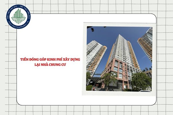 Tiền đóng góp kinh phí xây dựng lại nhà chung cư có bao gồm kinh phí bảo trì nhà chung cư chưa?