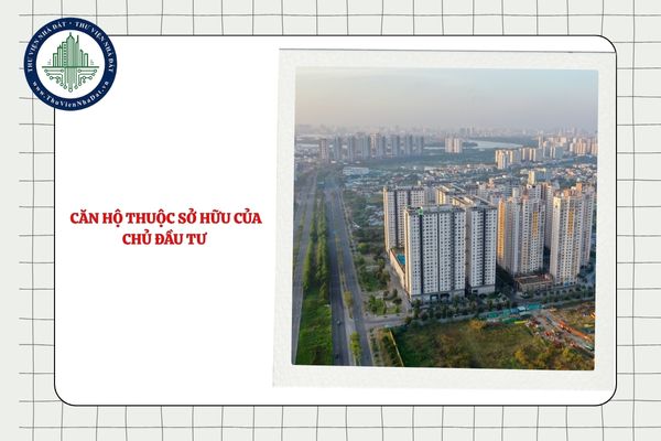 Thông tin về đặc điểm của tài sản là căn hộ thuộc sở hữu của chủ đầu tư thể hiện như thế nào?
