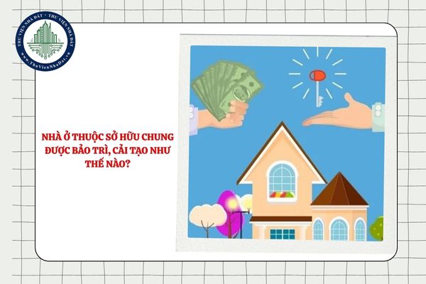 Nhà ở thuộc sở hữu chung được bảo trì, cải tạo như thế nào?
