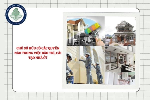 Chủ sở hữu có các quyền nào trong việc bảo trì, cải tạo nhà ở?