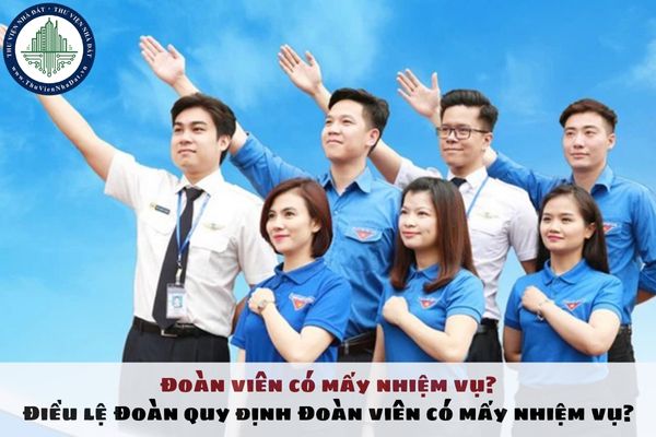 Đoàn viên có mấy nhiệm vụ? Điều lệ Đoàn quy định Đoàn viên có mấy nhiệm vụ?