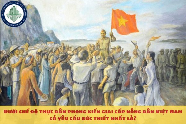 Dưới chế độ thực dân phong kiến giai cấp nông dân Việt Nam có yêu cầu bức thiết nhất là?