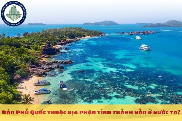 thuviennhadat.vn