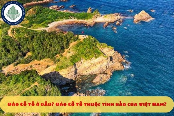 Đảo Cô Tô ở đâu? Đảo Cô Tô thuộc tỉnh nào của Việt Nam?