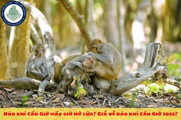 Đảo khỉ Cần Giờ mấy giờ mở cửa? Giá vé đảo khỉ Cần Giờ 2025?