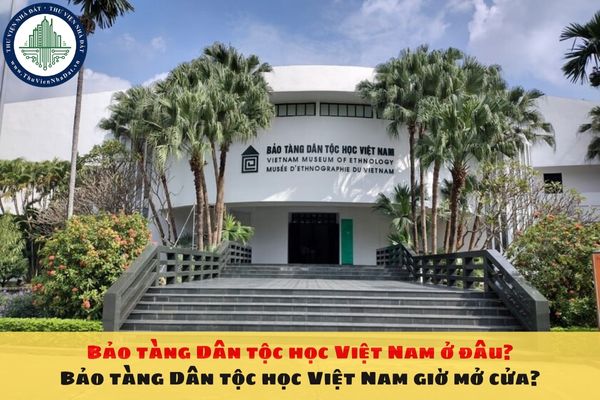 Bảo tàng Dân tộc học Việt Nam ở đâu? Bảo tàng Dân tộc học Việt Nam giờ mở cửa?