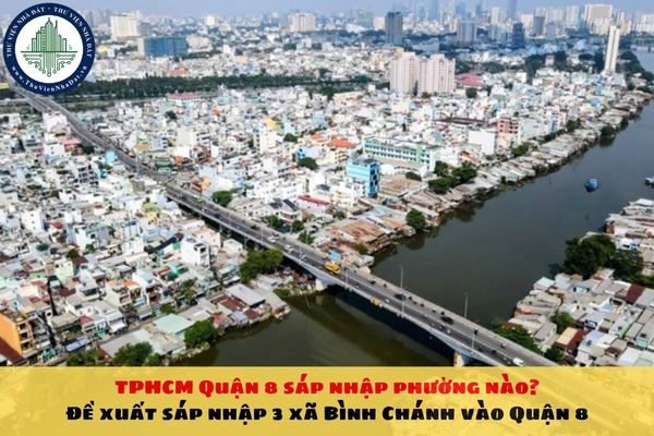 TPHCM Quận 8 sáp nhập phường nào? Đề xuất sáp nhập 3 xã Bình Chánh vào Quận 8