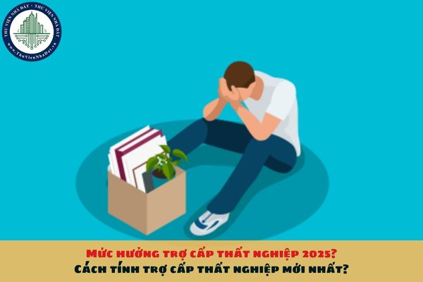 Mức hưởng trợ cấp thất nghiệp 2025? Cách tính trợ cấp thất nghiệp mới nhất?