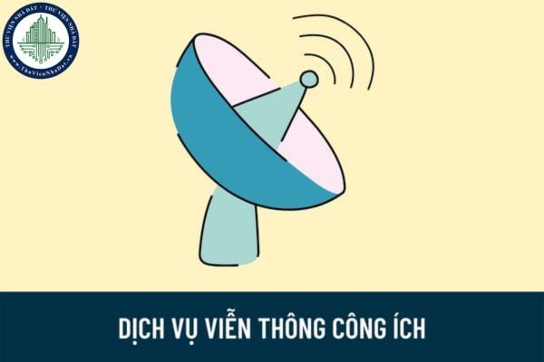 Chương trình hỗ trợ cung cấp, sử dụng dịch vụ viễn thông công ích đến năm 2025 được thực hiện theo nguyên tắc nào?