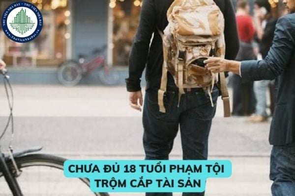 Chưa đủ 18 tuổi phạm tội trộm cắp tài sản có bị đi tù không? Phạm tội trộm cắp tài sản có được hưởng án treo không? 