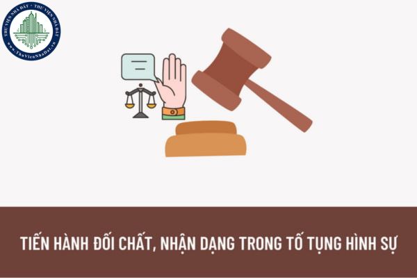 Khi nào tiến hành đối chất, nhận dạng trong tố tụng hình sự? Đối chất, nhận dạng được quy định như thế nào trong tố tụng hình sự?