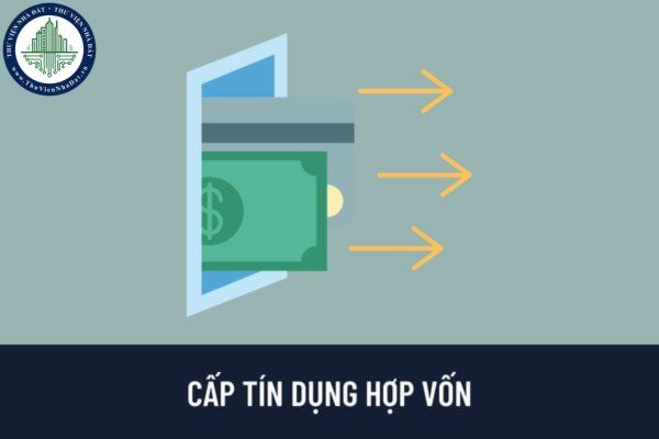 Khi tổ chức tín dụng không đáp ứng được nhu cầu cấp tín dụng của một dự án đầu tư thì có được hợp vốn với tổ chức khác không?