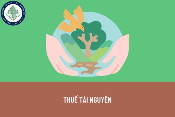Thế nào là thuế tài nguyên? Yến sào thiên nhiên có phải là đối tượng phải chịu thuế tài nguyên không? 