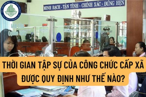 Thời gian tập sự của công chức cấp xã được quy định như thế nào? Chế độ được hưởng trong thời gian tập sự được quy định ra sao?