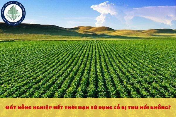 Đất nông nghiệp hết thời hạn sử dụng có bị thu hồi trong năm 2025 không?