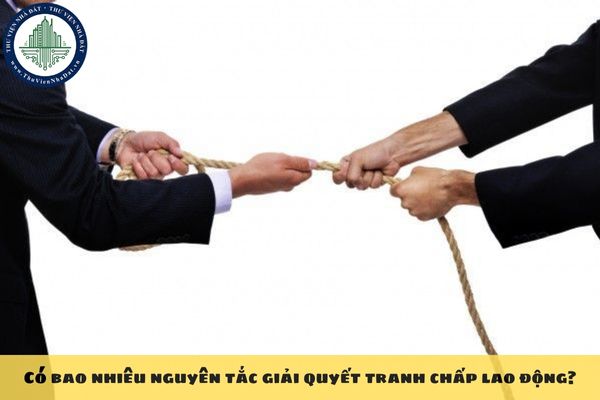Có bao nhiêu nguyên tắc giải quyết tranh chấp lao động?