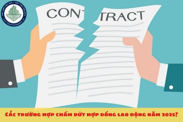Các trường hợp chấm dứt hợp đồng lao động năm 2025?