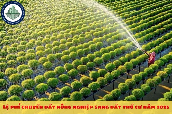 Lệ phí chuyển đất nông nghiệp sang đất thổ cư năm 2025