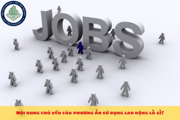 Nội dung chủ yếu của phương án sử dụng lao động là gì?