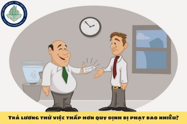 Trả lương thử việc thấp hơn quy định bị phạt bao nhiêu?