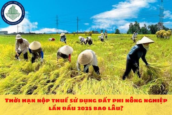 Thời hạn nộp thuế sử dụng đất phi nông nghiệp lần đầu 2025 bao lâu?