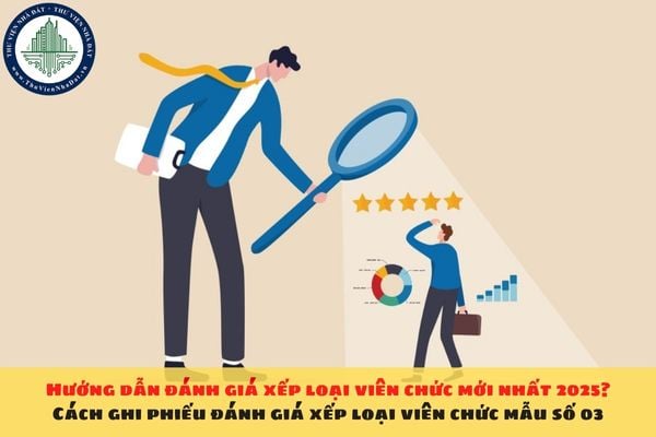 Hướng dẫn đánh giá xếp loại viên chức mới nhất 2025? Cách ghi phiếu đánh giá xếp loại viên chức mẫu số 03
