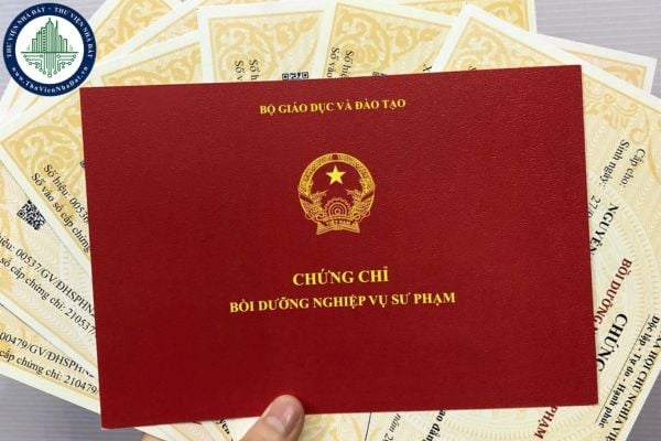 Học nghiệp vụ sư phạm trung học bao lâu xong? Học bao nhiêu tín chỉ?