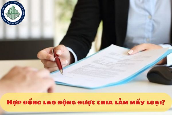 Hợp đồng lao động được chia làm mấy loại?