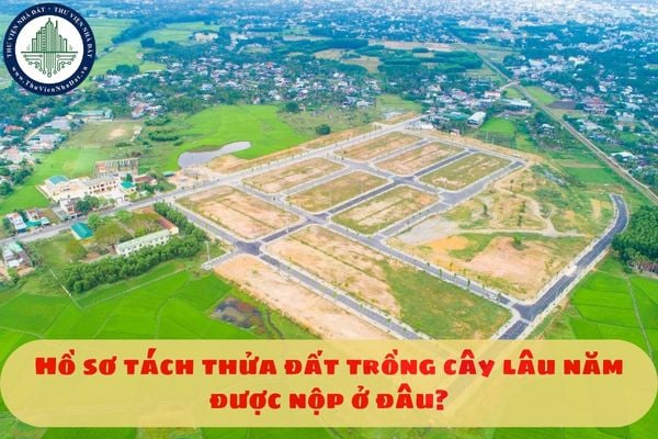 Hồ sơ tách thửa đất trồng cây lâu năm được nộp ở đâu?