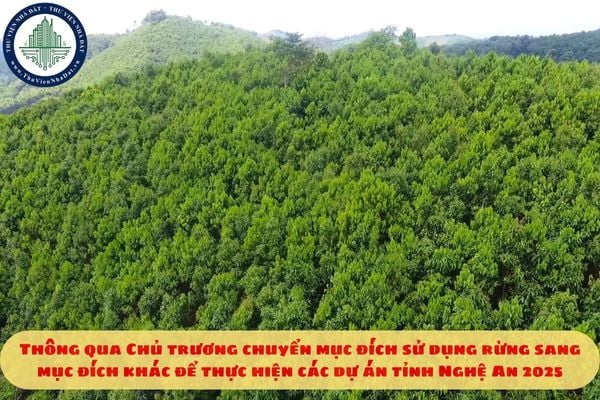 Thông qua Chủ trương chuyển mục đích sử dụng rừng sang mục đích khác để thực hiện các dự án tỉnh Nghệ An 2025