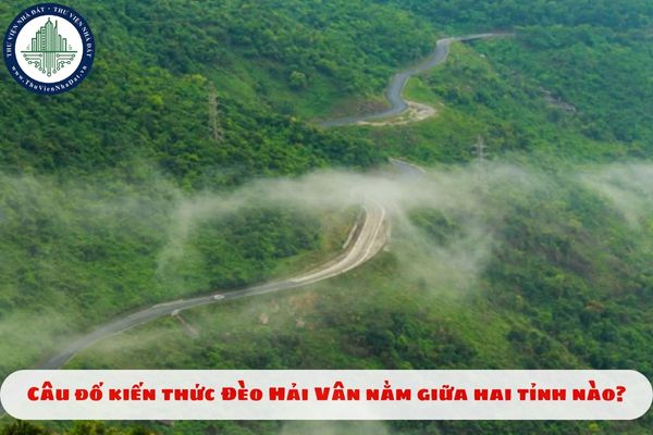 thuviennhadat.vn