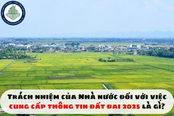 Trách nhiệm của Nhà nước đối với việc cung cấp thông tin đất đai 2025 là gì?