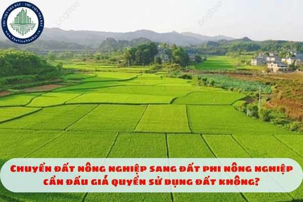 Chuyển đất nông nghiệp sang đất phi nông nghiệp cần đấu giá quyền sử dụng đất không?