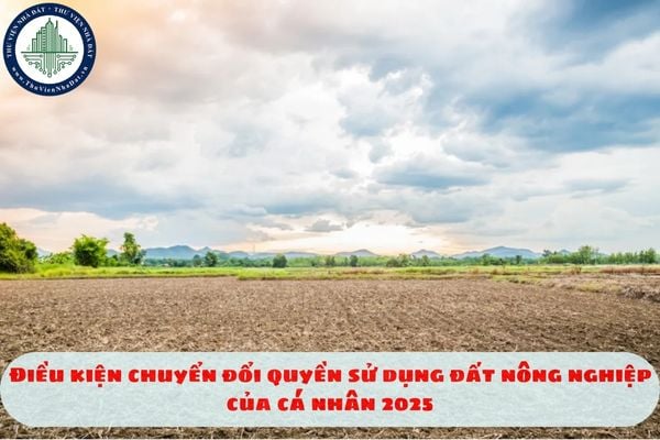 Điều kiện chuyển đổi quyền sử dụng đất nông nghiệp của cá nhân 2025