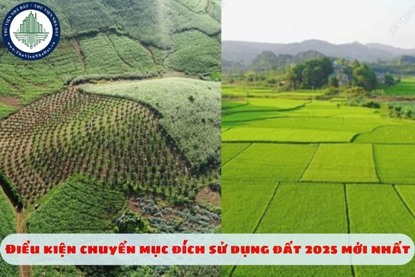 Điều kiện chuyển đổi quyền sử dụng đất nông nghiệp của cá nhân 2025