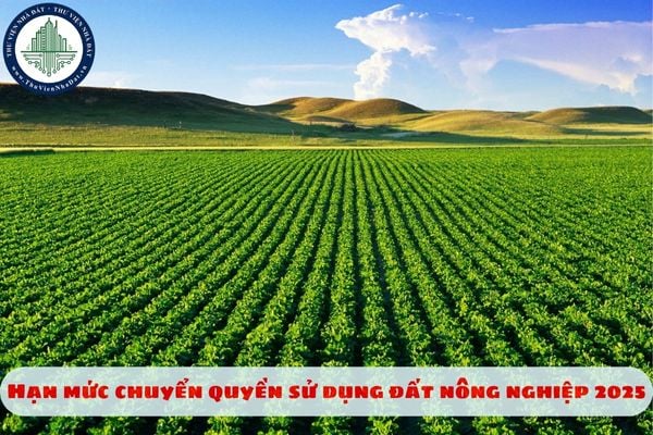 Hạn mức chuyển quyền sử dụng đất nông nghiệp 2025