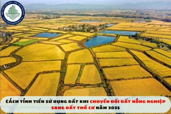 Cách tính tiền sử dụng đất khi chuyển đổi đất nông nghiệp sang đất thổ cư năm 2025