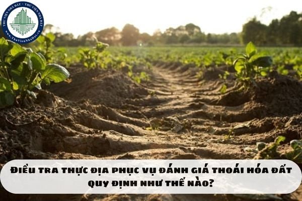 Điều tra thực địa phục vụ đánh giá thoái hóa đất quy định như thế nào?