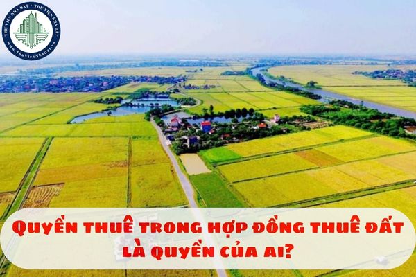 Quyền thuê trong hợp đồng thuê đất là quyền của ai?