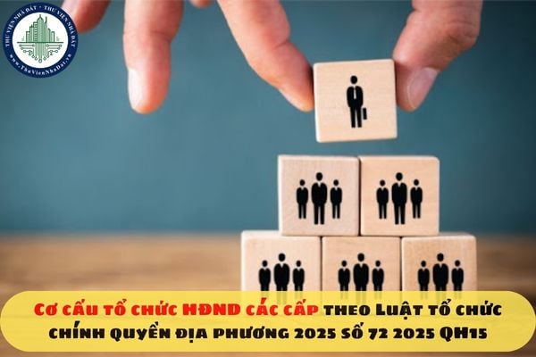Cơ cấu tổ chức HĐND các cấp theo Luật tổ chức chính quyền địa phương 2025 số 72 2025 QH15