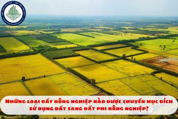 Những loại đất nông nghiệp nào được chuyển mục đích sử dụng đất sang đất phi nông nghiệp?