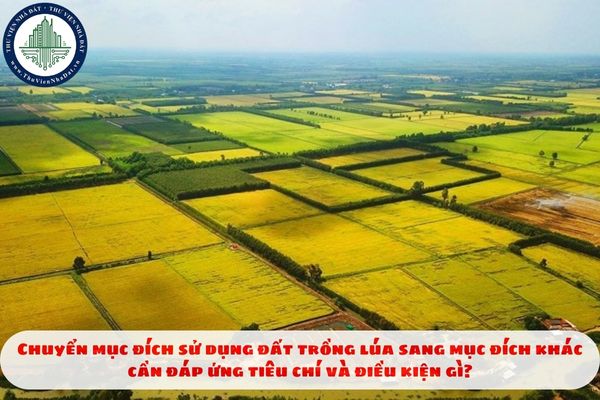Chuyển mục đích sử dụng đất trồng lúa sang mục đích khác cần đáp ứng tiêu chí và điều kiện gì?