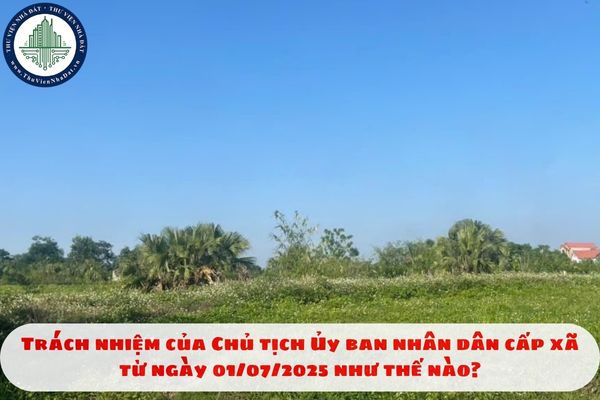 Trách nhiệm của Chủ tịch Ủy ban nhân dân cấp xã từ ngày 01/07/2025 như thế nào?