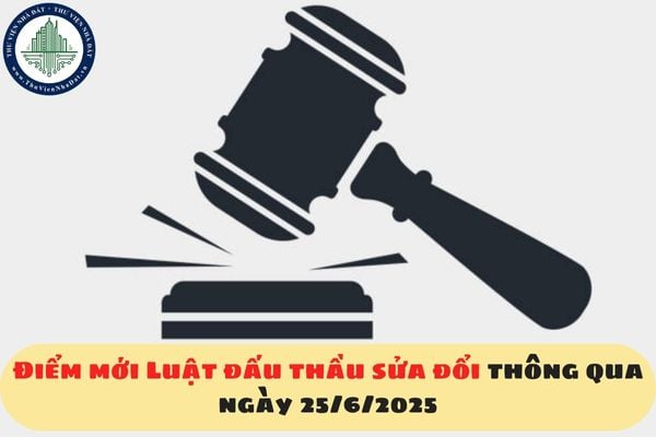 Điểm mới Luật đấu thầu sửa đổi thông qua ngày 25/6/2025