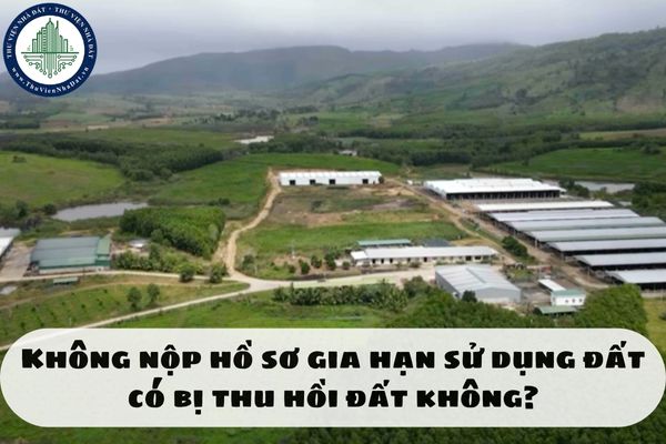Không nộp hồ sơ gia hạn sử dụng đất có bị thu hồi đất không?